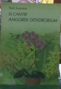 Image of Si Cantik Anggrek Dendrobium