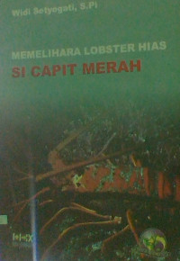 Image of Memelkihara Lobster Hias : Si Capit Merah