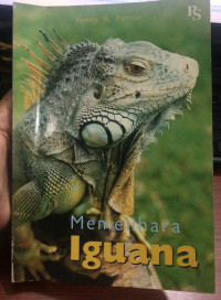 Image of Memelihara Iguana