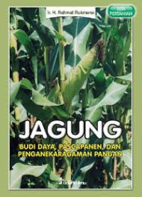 Image of Kenali Paru-paru anda